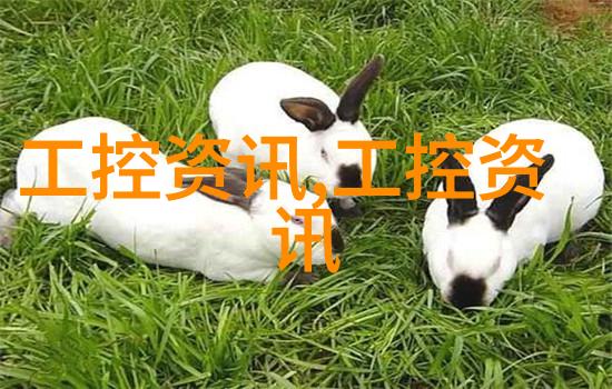 润邦干燥奥美拉唑缓释流化床包衣机 微丸包衣机