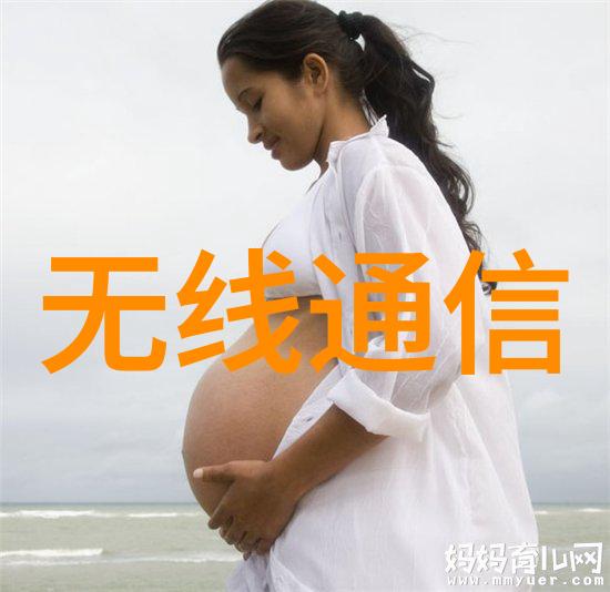 智能除醛新风机