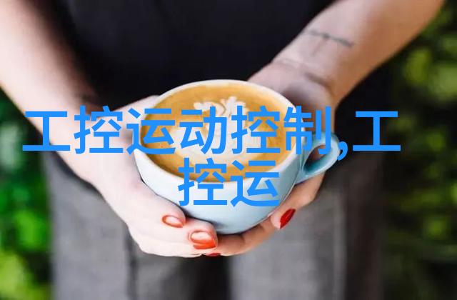 藕粉摇摆制粒机