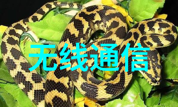卧式电梯钢丝绳拉伸试验机