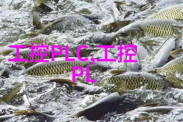 STARTER 300DB便携式溶解氧测定仪STARTER 300DB